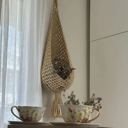 Apartment Oasis