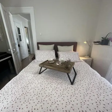 Oasis Apartment