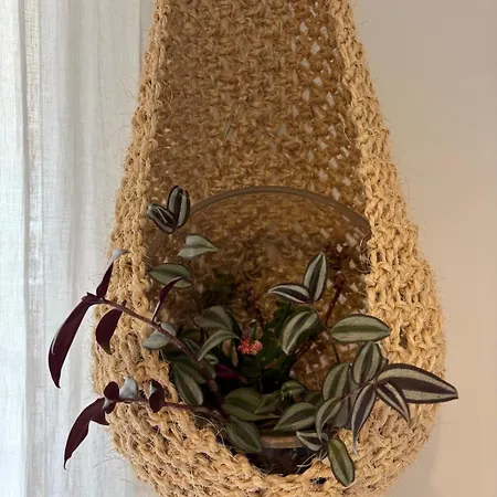 Apartment Oasis *